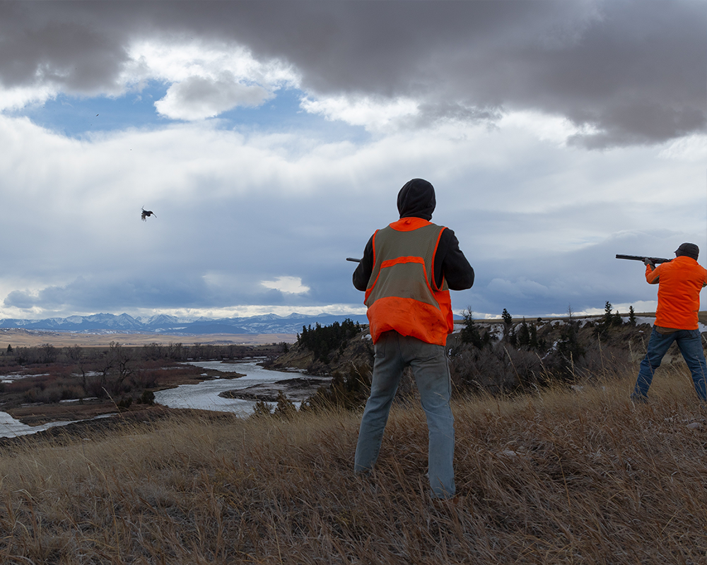 Madison Ranch Hunting