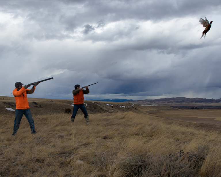 Madison Ranch Hunting