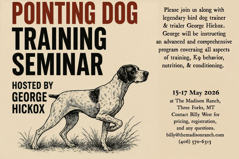 Pointing Dog Training Seminar