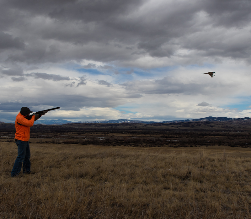Madison Ranch Hunting