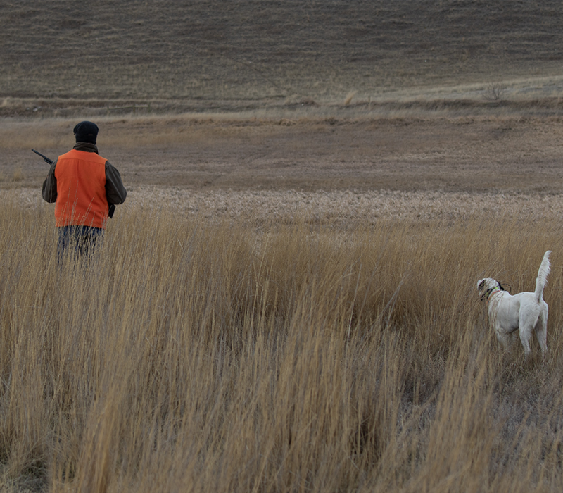 Madison Ranch Hunting