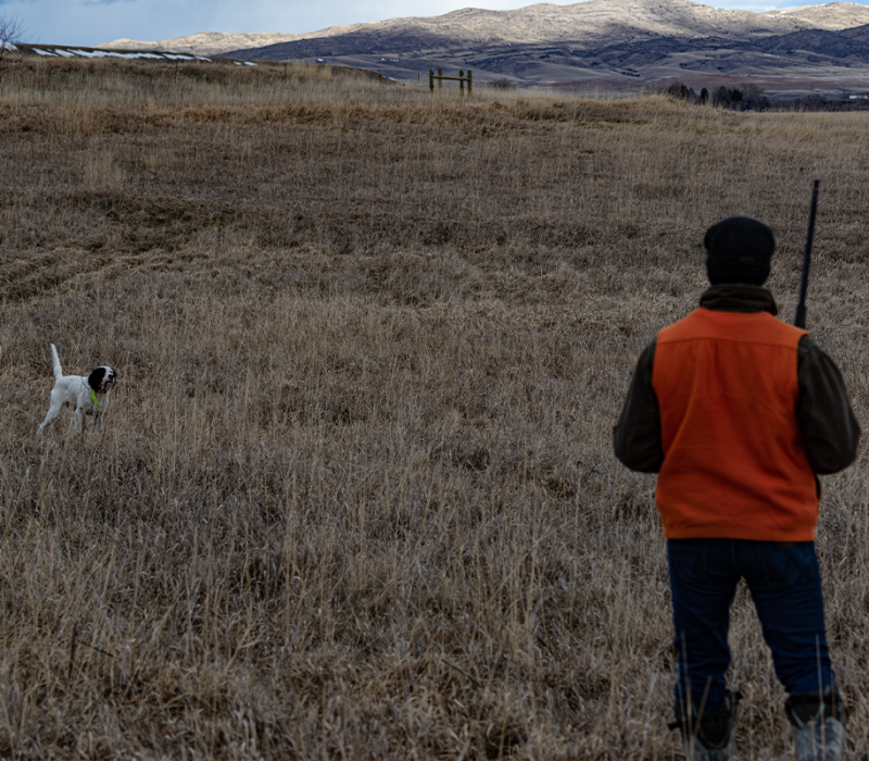 Madison Ranch Hunting