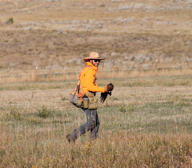 Madison Ranch Hunting